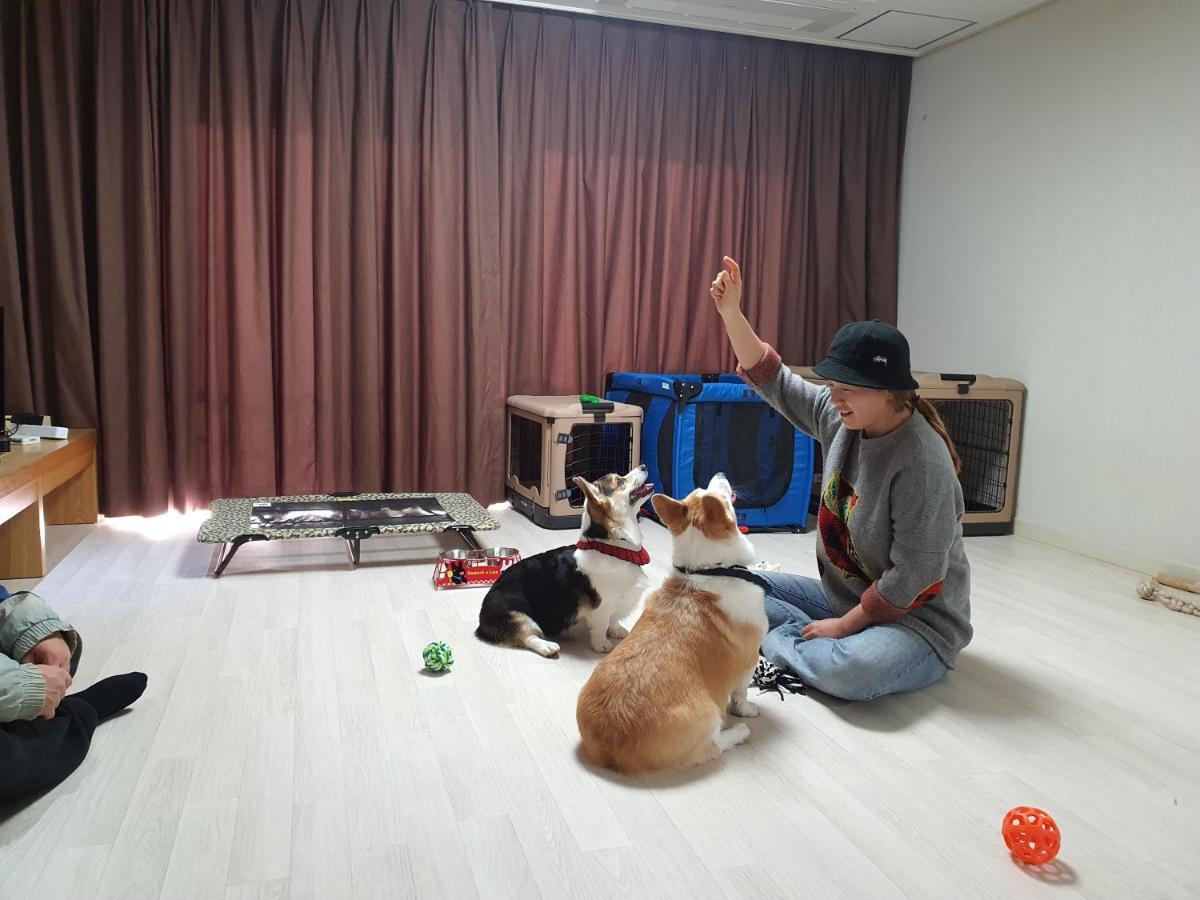 Hi Jeju Hotel Bagian luar foto