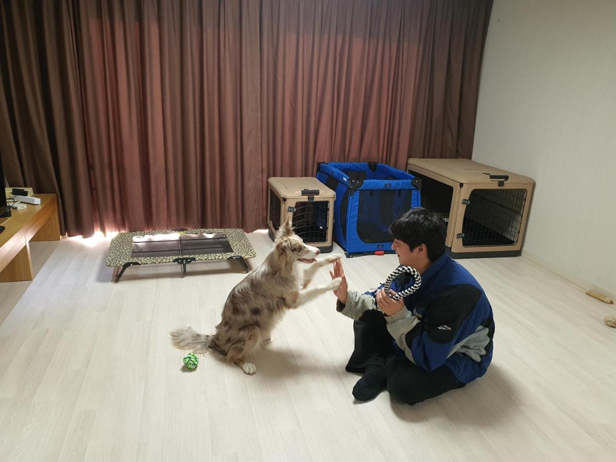 Hi Jeju Hotel Bagian luar foto