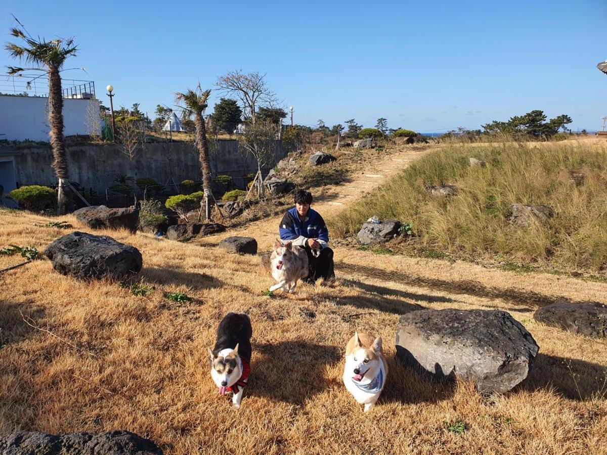 Hi Jeju Hotel Bagian luar foto