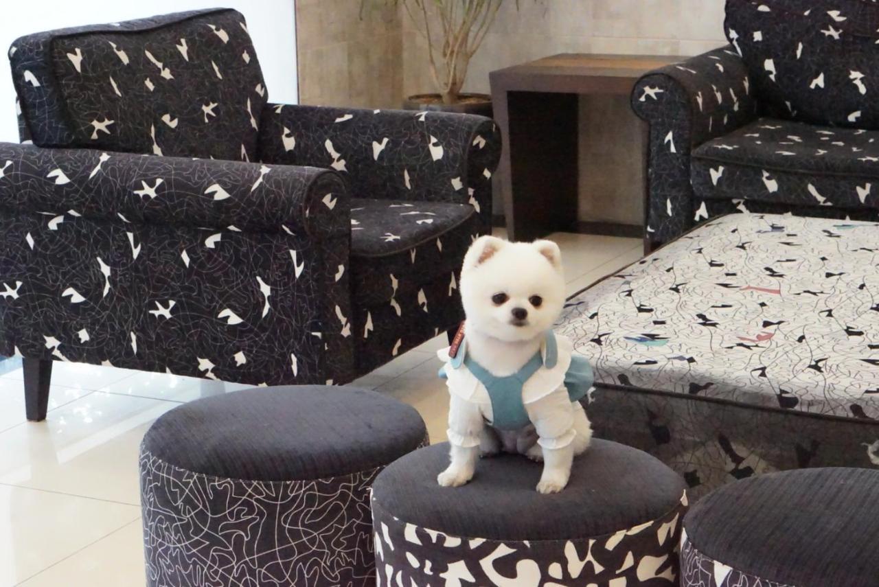 Hi Jeju Hotel Bagian luar foto